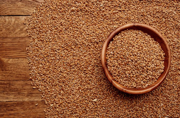 Skup zbóż – dlaczego warto wybrać sprawdzoną firmę?